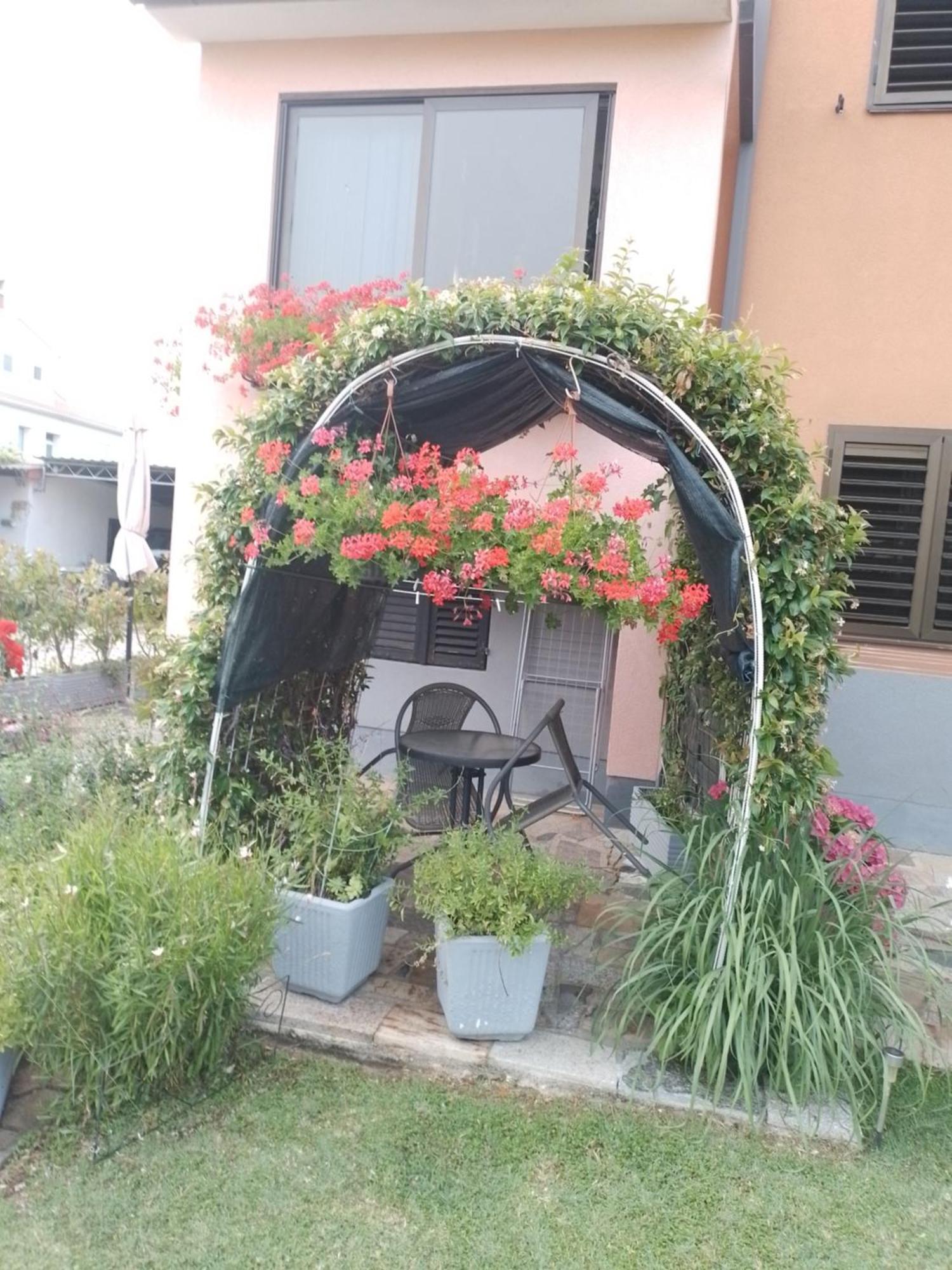Apartman Olga Umag Exterior foto